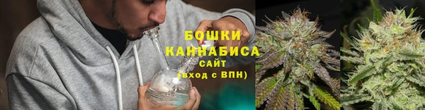гидропоника Богданович