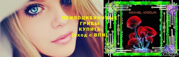 ALPHA-PVP Бородино
