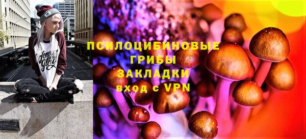ALPHA-PVP Бородино