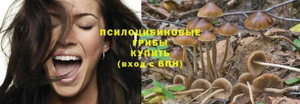 хмурый Бронницы