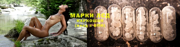 МДПВ Богородицк